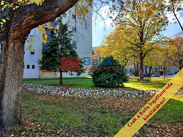 Eladó lakás Budapest, IX. kerület