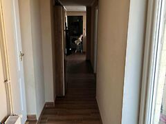 Eladó ház Bársonyos