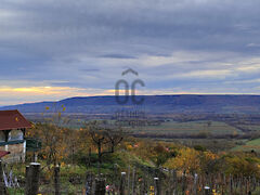 Eladó nyaraló Raposka