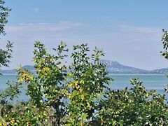 Eladó nyaraló Balatonfenyves