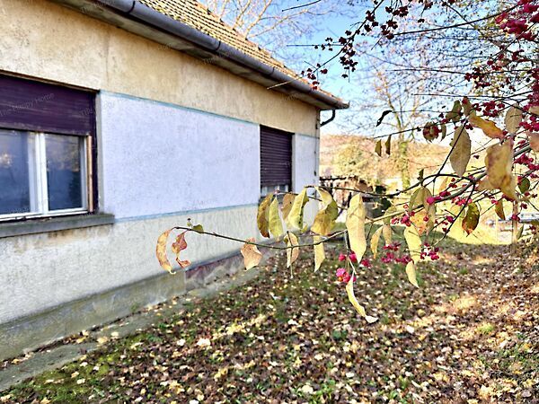 Eladó ház Nemeshetés