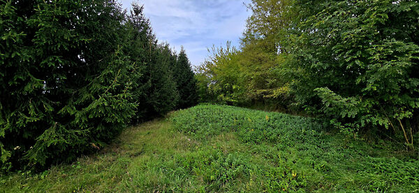 Eladó földterület Felsőmarác