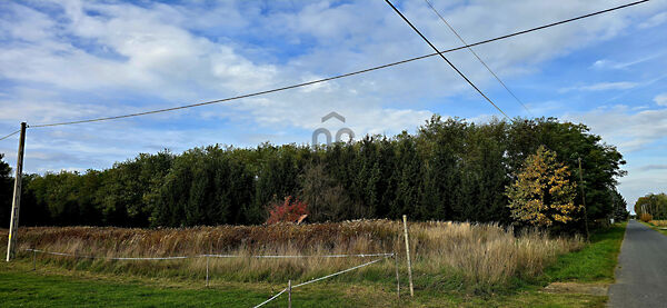 Eladó földterület Felsőmarác