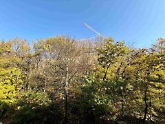 Eladó lakás Budapest, I. kerület