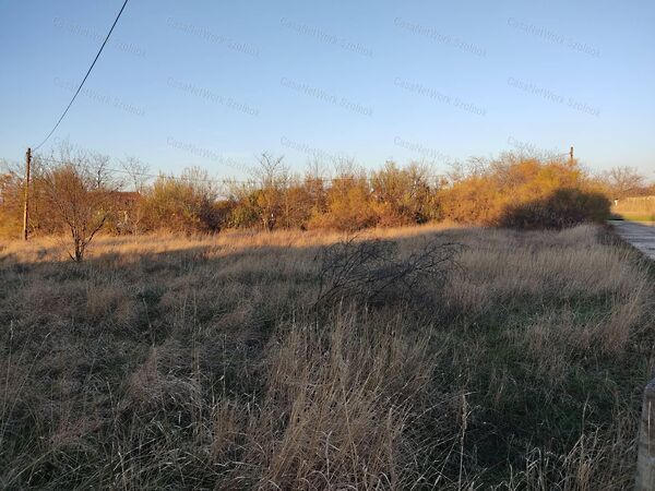 Eladó földterület Tápiószele