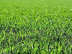 Eladó földterület Érd, Felső-Parkváros