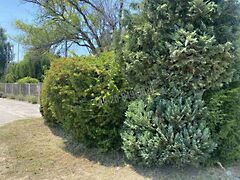 Eladó földterület Dunaharaszti