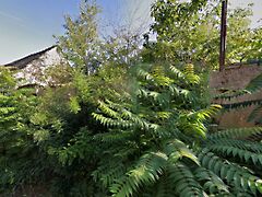 Eladó földterület Kecskemét, Belváros