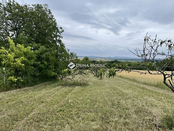 Eladó földterület Tök