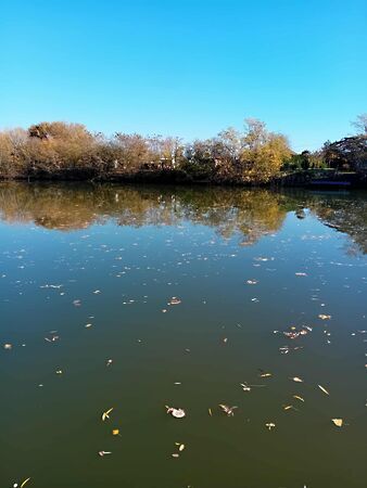 Eladó földterület Mezőtúr, Holt-Kőrös part