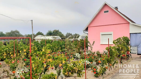 Eladó nyaraló Domaszék