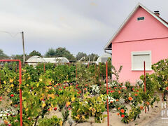 Eladó nyaraló Domaszék