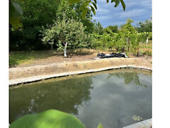 Eladó földterület Szatymaz