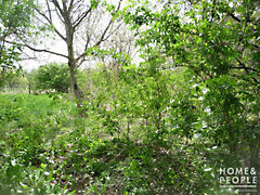 Eladó földterület Szeged, Újszeged