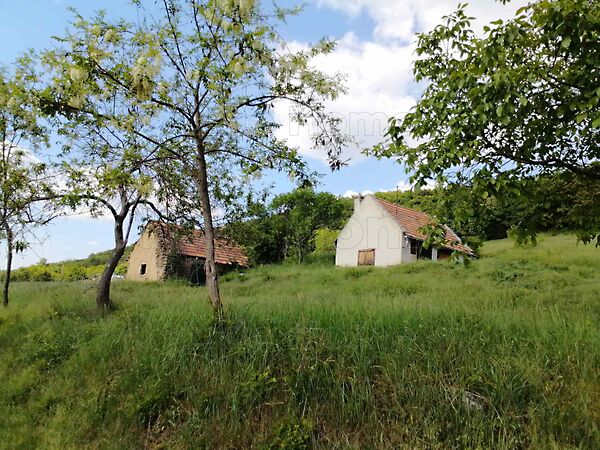 Eladó földterület Monostorapáti