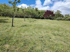 Eladó földterület Zalaszentgrót