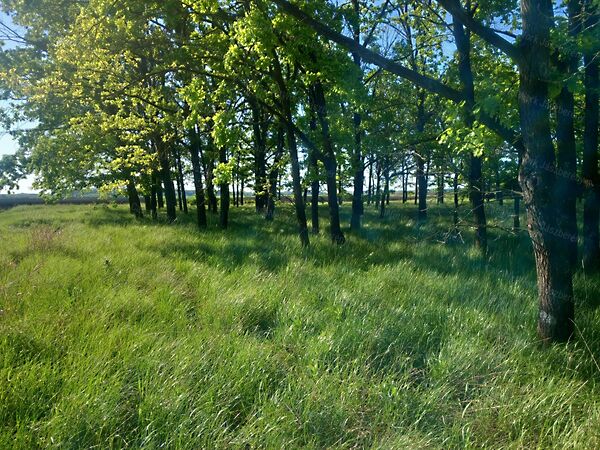 Eladó földterület Erk