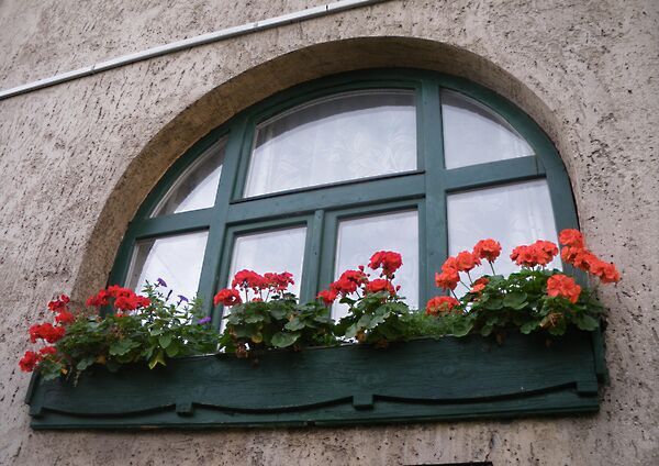 Eladó lakás Budapest, XV. kerület, Pestújhely