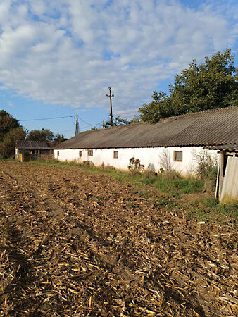 Eladó földterület Gyula