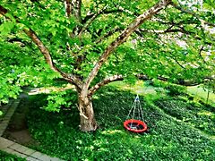 Eladó lakás Budapest, III. kerület