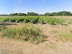 Eladó földterület Kecskemét