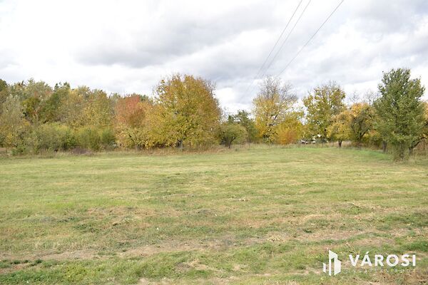 Eladó földterület Gyula, Szentpálfalva