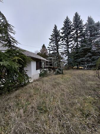 Eladó ház Szigetmonostor