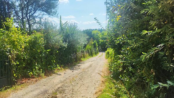 Eladó földterület Páty