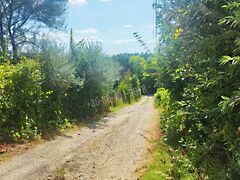 Eladó földterület Páty