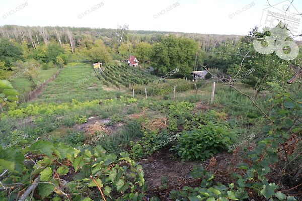 Eladó nyaraló Bölcske