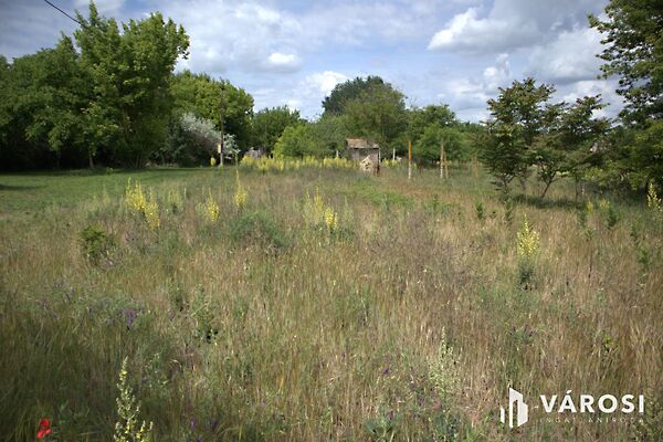 Eladó földterület Sándorfalva