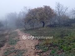 Eladó földterület Székesfehérvár