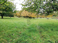 Eladó földterület Zalaegerszeg, Gógánhegy