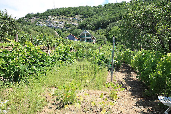 Eladó földterület Tatabánya, Turul hegyoldal