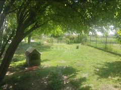 Eladó földterület Szigetújfalu