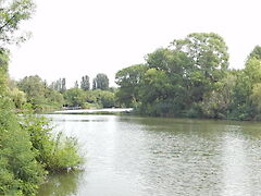 Eladó nyaraló Szarvas