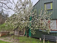 Eladó nyaraló Vértesszőlős