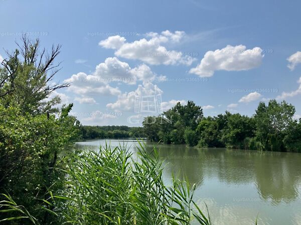 Eladó földterület Mesterszállás