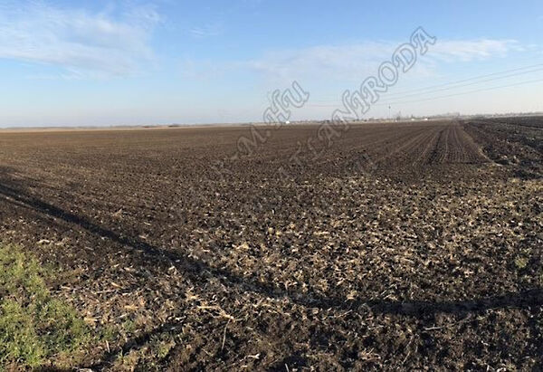 Eladó földterület Óföldeák