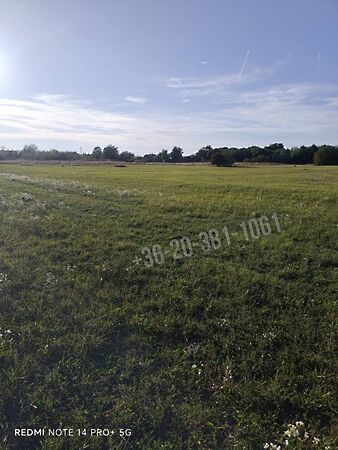 Eladó földterület Mezőörs, Mindszentpuszta