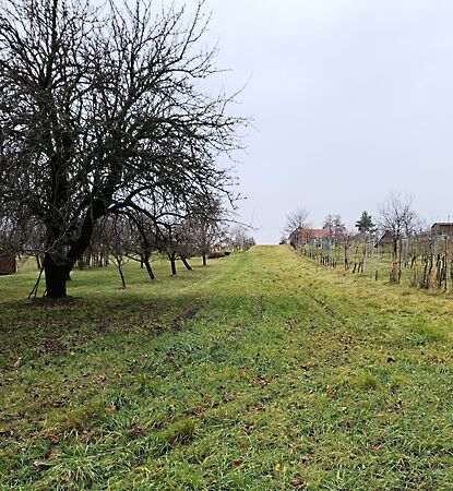 Eladó földterület Lukácsháza