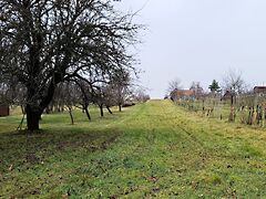 Eladó földterület Lukácsháza