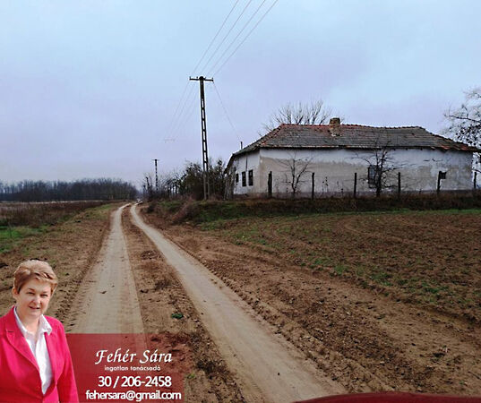 Eladó ház Tiszakürt