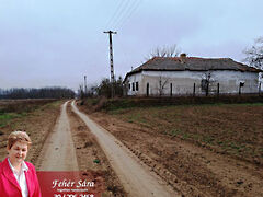 Eladó ház Tiszakürt