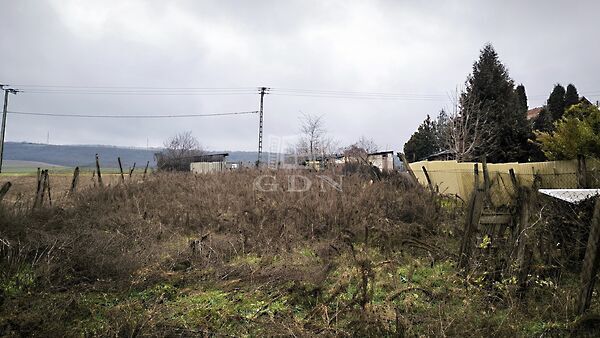 Eladó földterület Domony