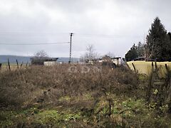 Eladó földterület Domony