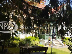 Eladó üzleti Veszprém