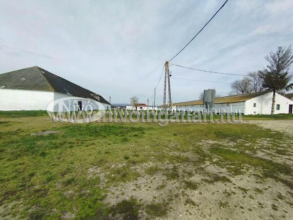 Eladó Array Veszprém