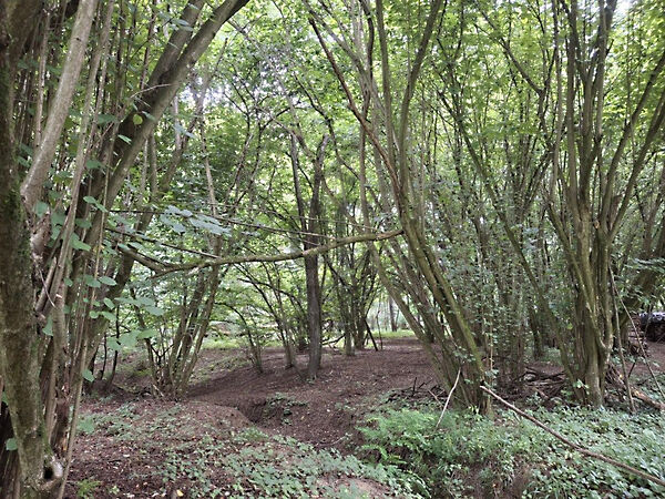 Eladó földterület Gosztola