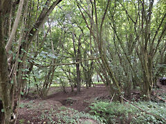 Eladó földterület Gosztola